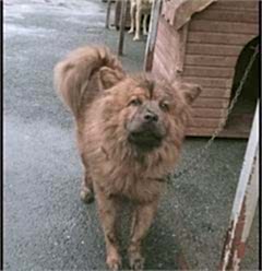 Pia  cocuk yuva ariyor